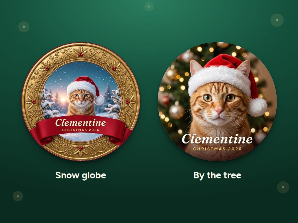 The same cat on two ornaments: a snow globe look and a by the tree look, each in a Santa hat