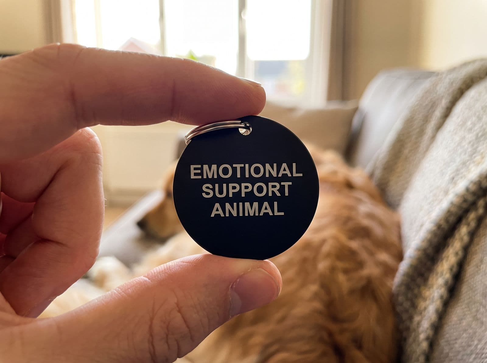 The round black emotional support tag held between a thumb and a finger