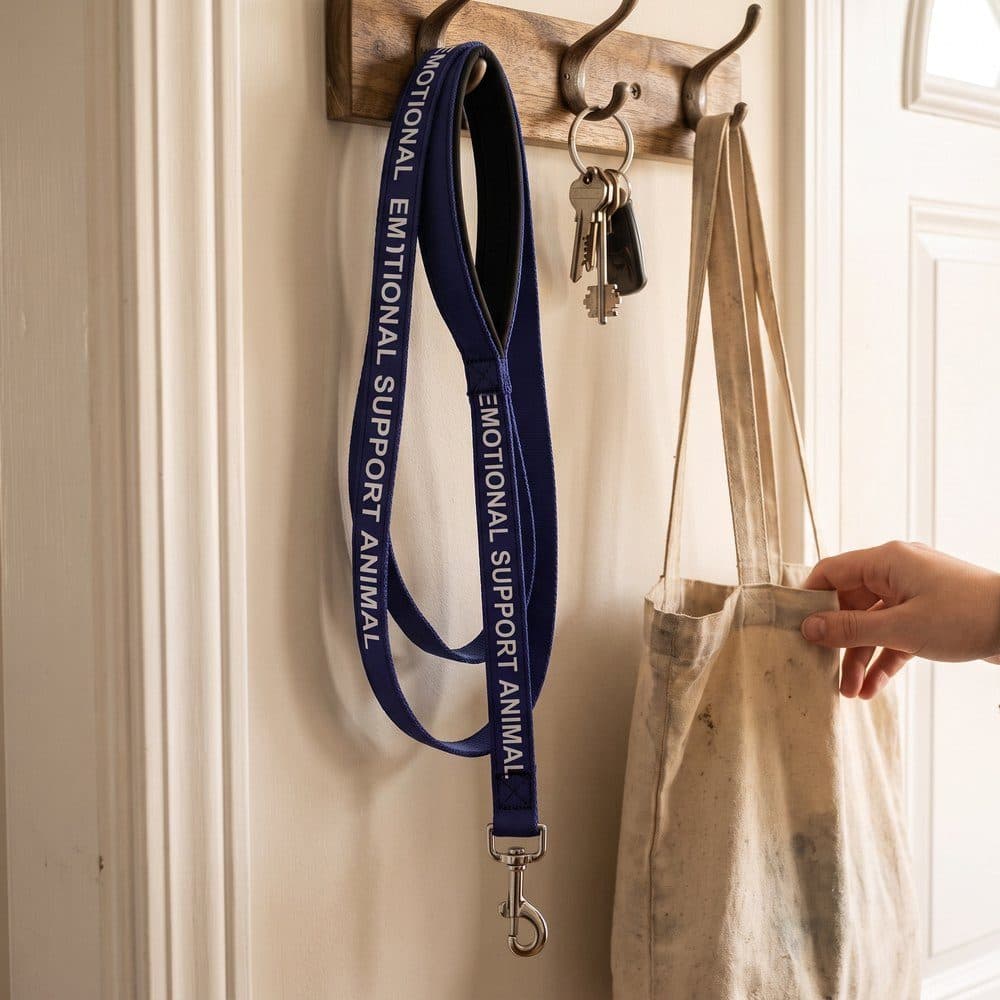 The leash hanging by a front door: the padded handle at the top, the lettering down its length, the snap hook at the bottom