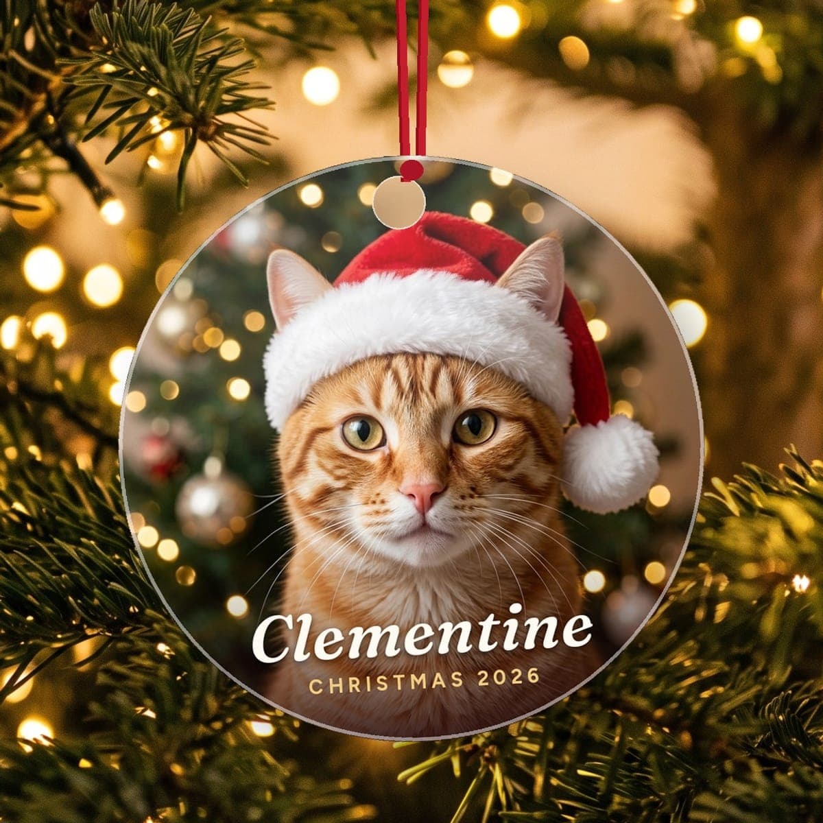 A pet ornament with a tabby cat in a Santa hat in front of a Christmas tree, hanging on a lit tree