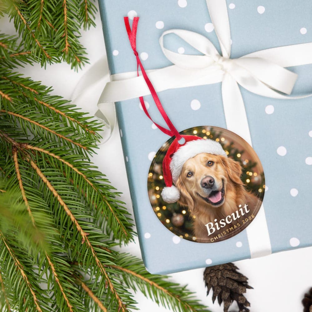 A by the tree pet ornament with a golden retriever in a Santa hat, tied to a wrapped present