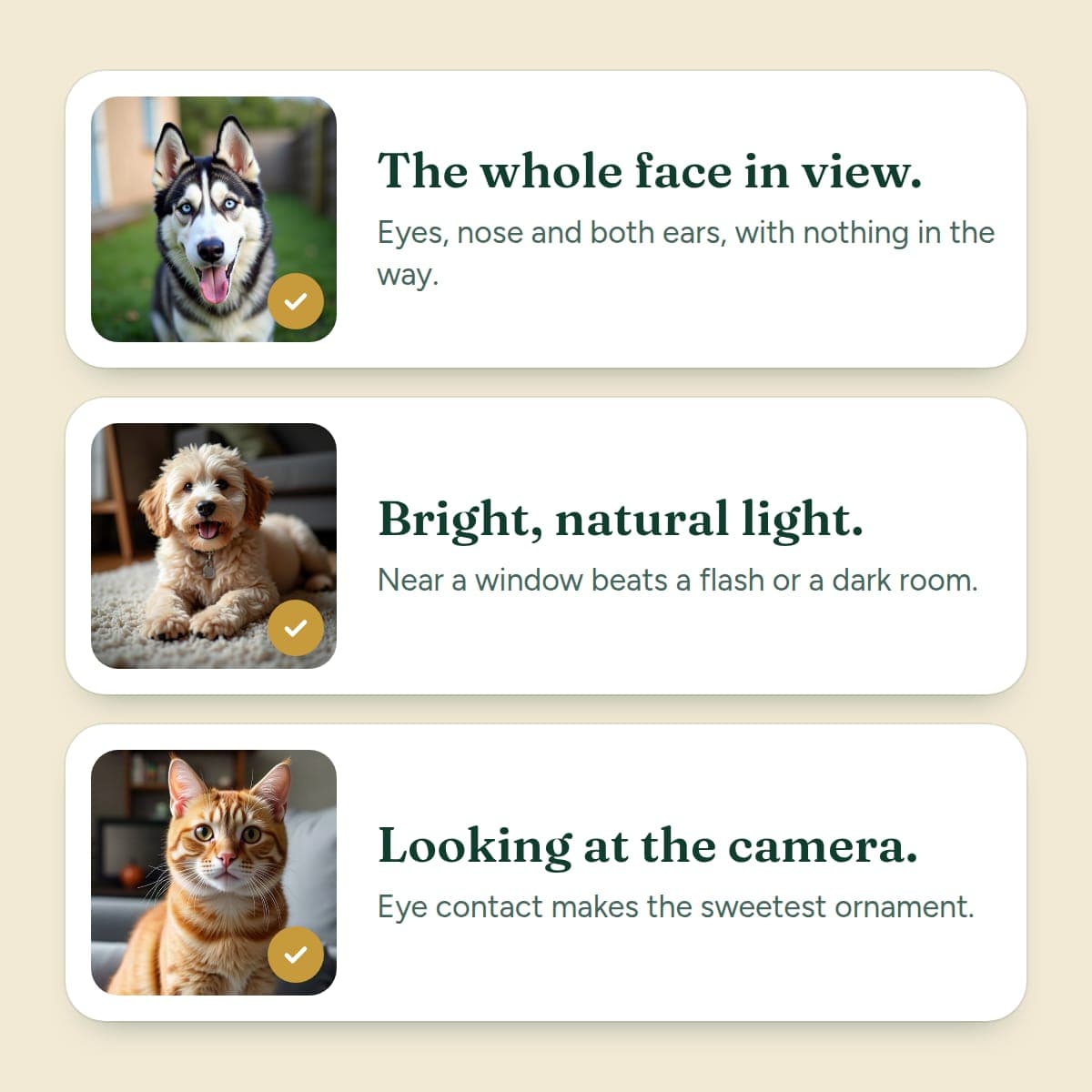Three photos that make a good ornament: the whole face in view, bright natural light, and the pet looking at the camera