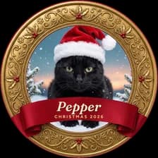 A snow globe ornament with a black cat in a Santa hat